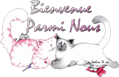 Bonjour 9nndwjx4