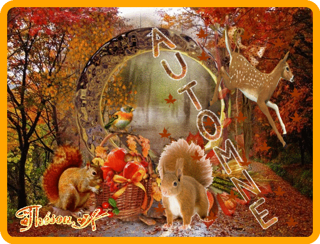 Image du Blog chezwindy.centerblog.net